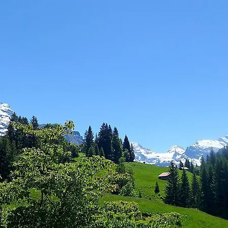 Sleeps 10 Wifi Wengen